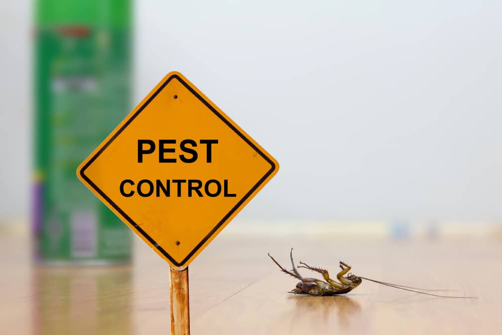 Do pest controllers need to be licensed?