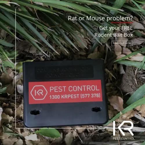 Rodent Bait Box Rats Mice - KR Pest Control